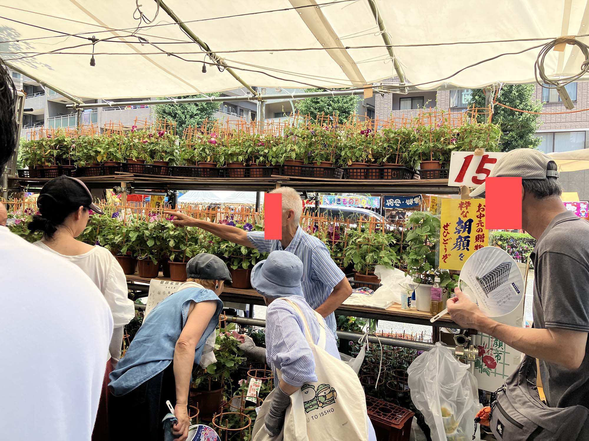 大盛況の朝顔市