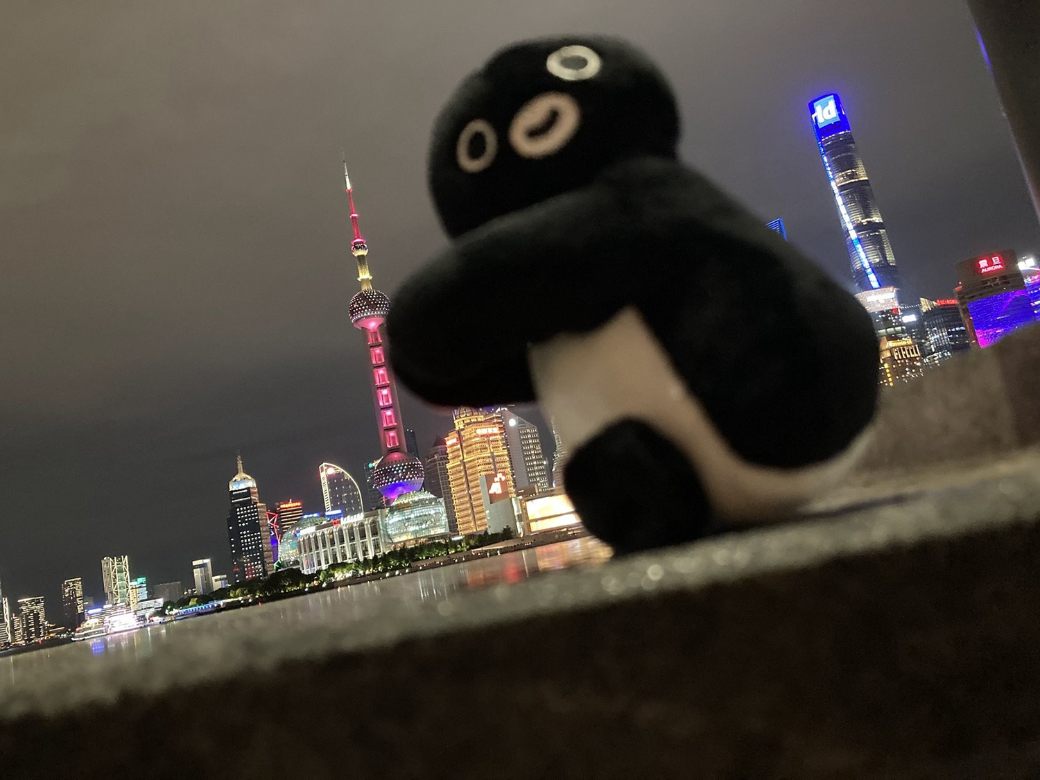 上海といったらこの景色を誰しもが想像しますよね。