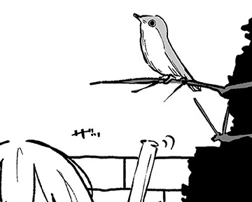 「舞い踊れ、世界#11」の画像